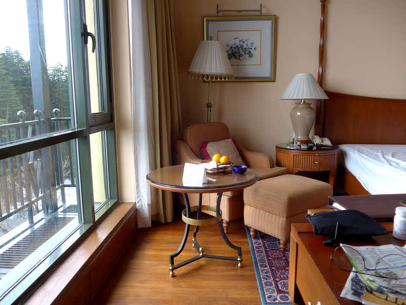From desk, Wildflower Hall, Shimla